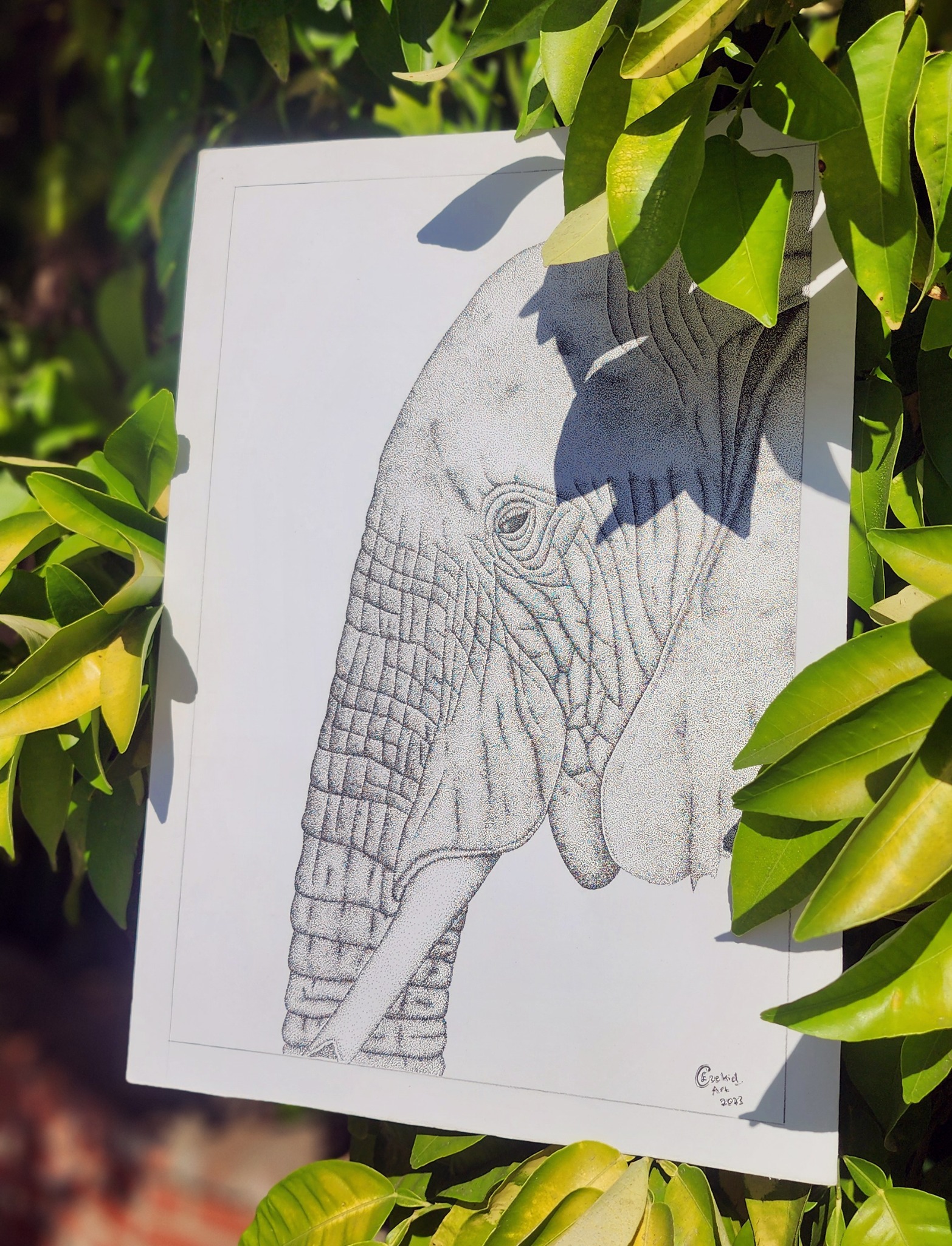 Elephant drawing among green leaves