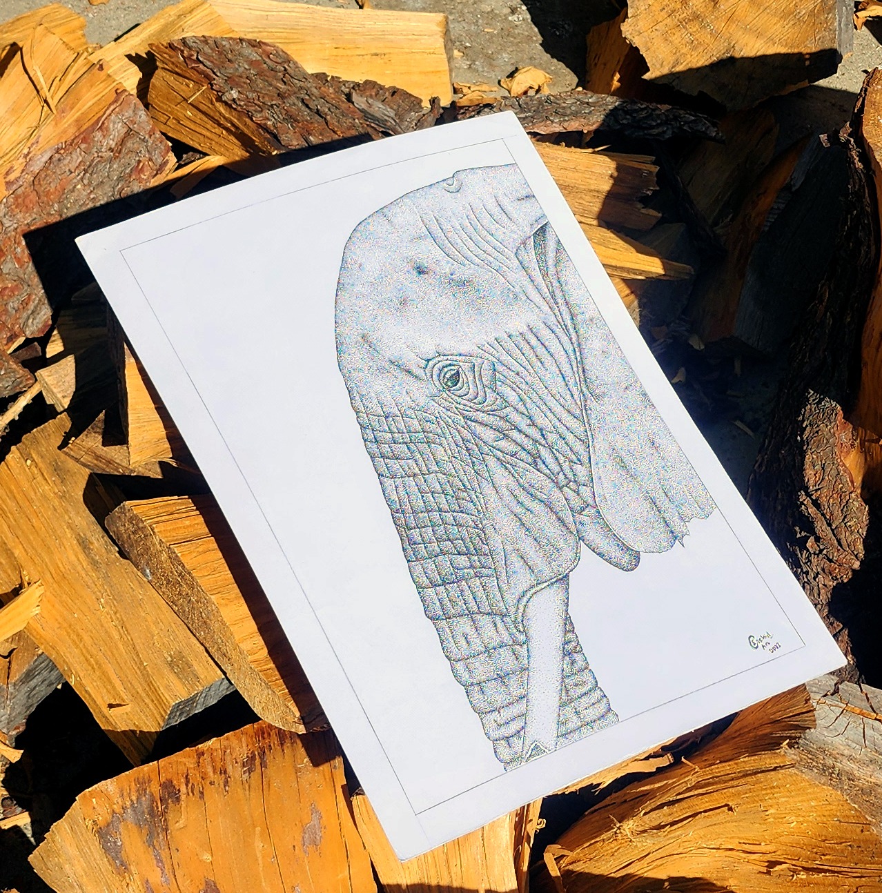 Elephant drawing resting on wood